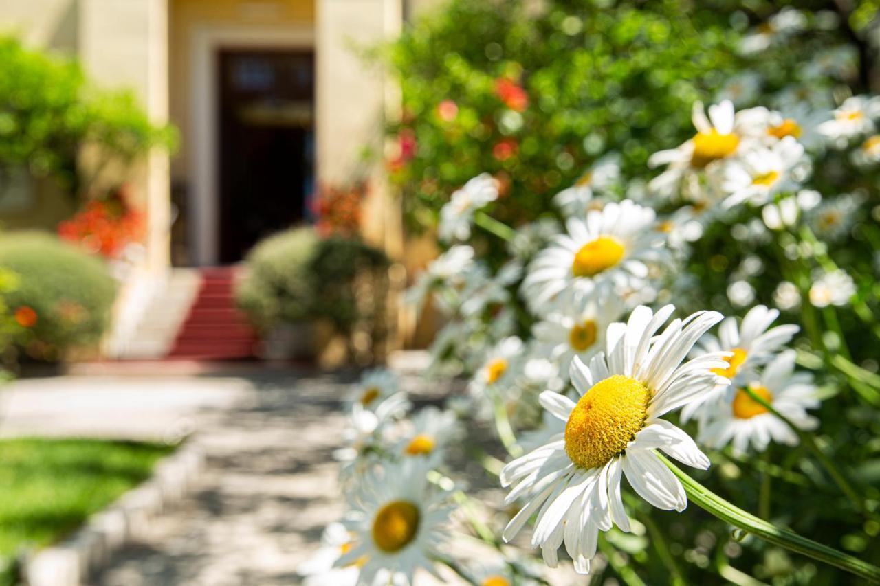 Hotel Villa Elisa & Spa Bordighera Bagian luar foto