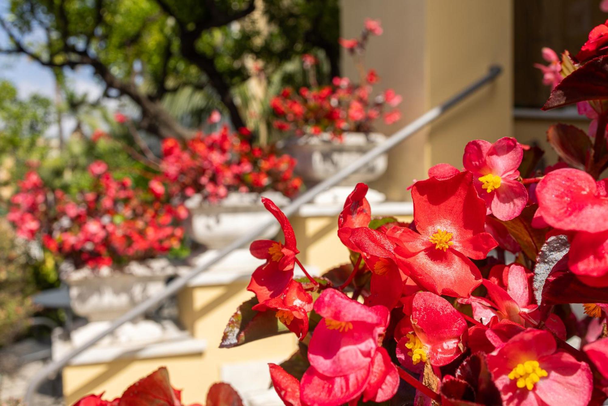 Hotel Villa Elisa & Spa Bordighera Bagian luar foto