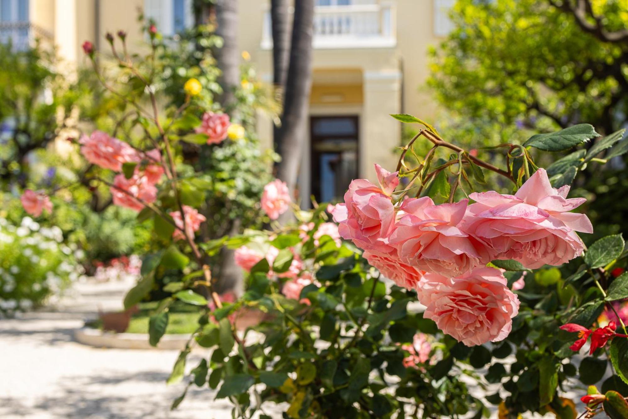 Hotel Villa Elisa & Spa Bordighera Bagian luar foto
