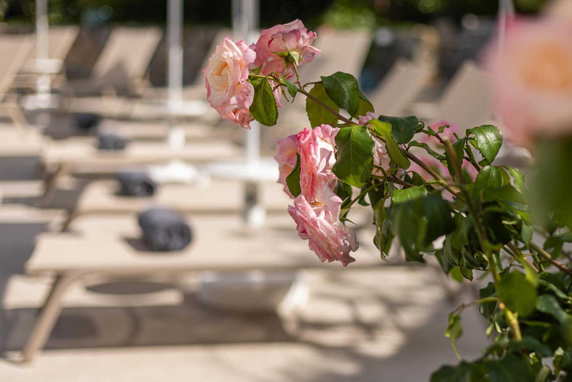 Hotel Villa Elisa & Spa Bordighera Bagian luar foto